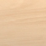 beech_haya_hetre-01-12