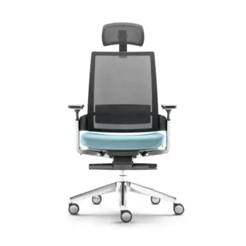 Fauteuil de bureau ergonomique 3.60