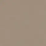 Brown semi-matt RAL 1019