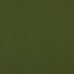 Valencia_Olive_24001_107-5001