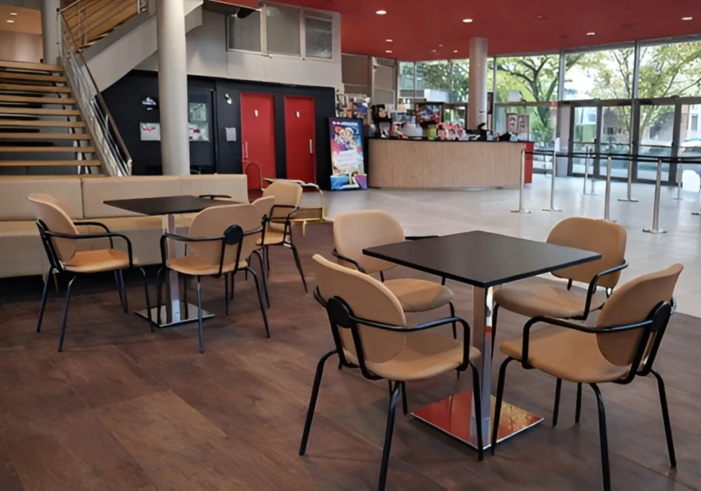 Projet _ Ciné Dyke Puy-en-Velay illustration 3